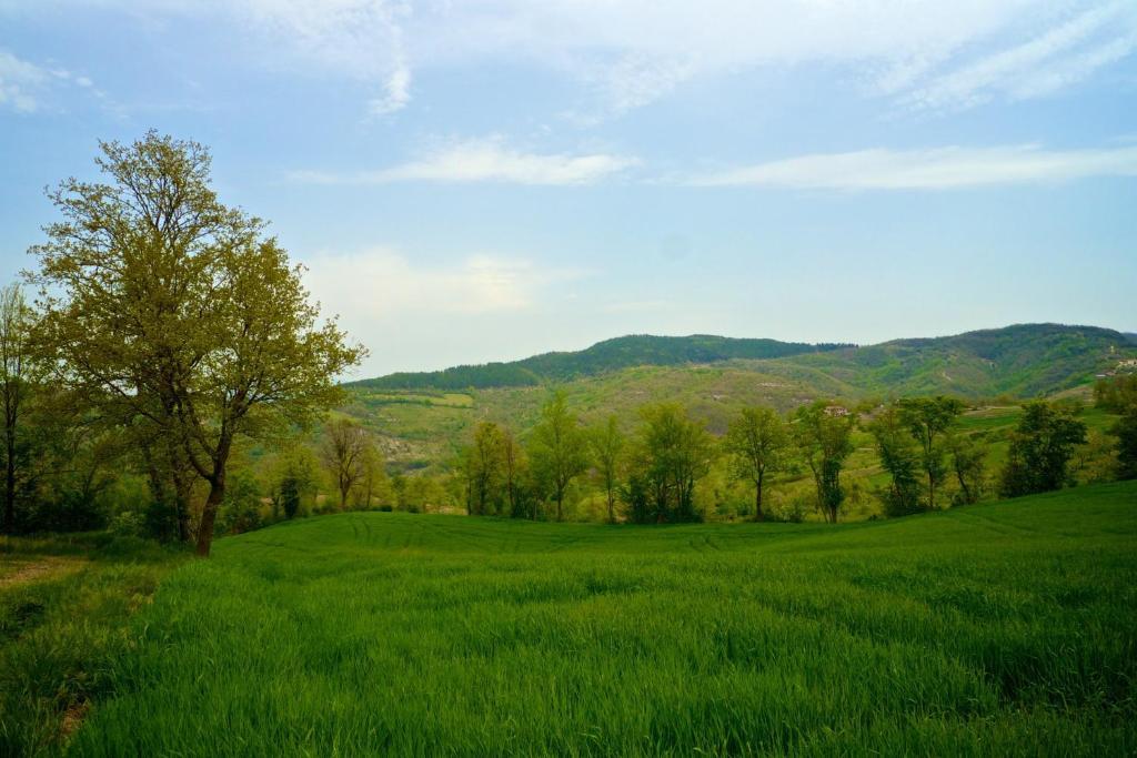 Agriturismo Montelovesco Brunetta Exteriör bild